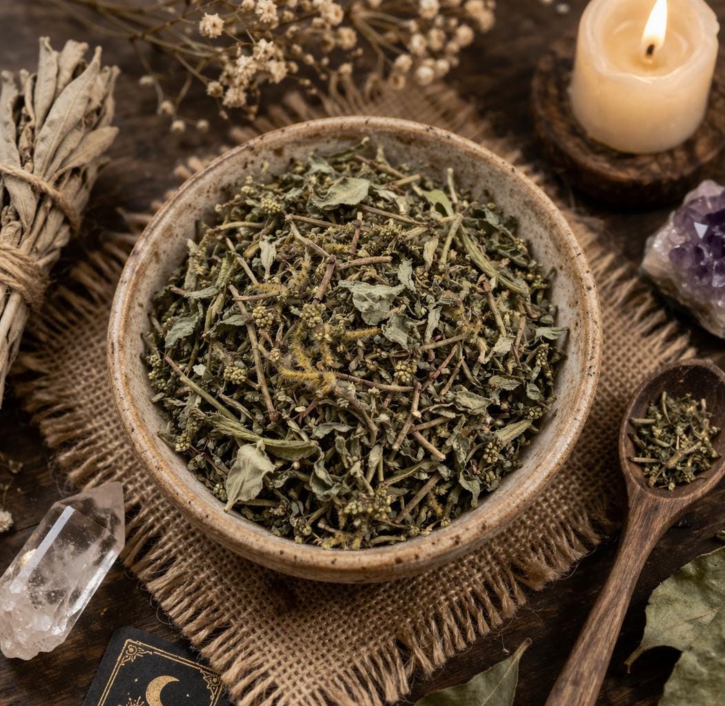 Haras Mi Voluntad | Do as I say | Ewe Emile | Dried Herb | 0.5 Ounces | Traditional Herb Supplier | Santeria | Hoodoo | Voodoo |
