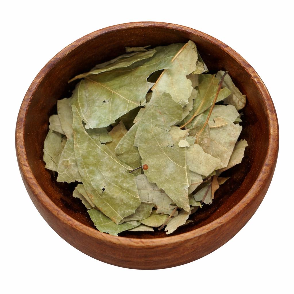 Sassafras | Sassafras Albidoum | 0.5 oz | Traditional Herb Supplier & Manufacturer | Spell and Ritual Supplies