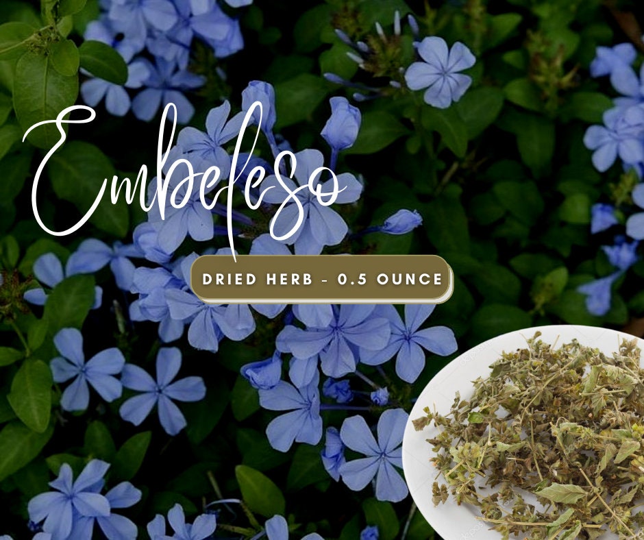 Embeleso / Ven a Mi (Come to Me) Dried Herb 0.5 OZ for Attraction and Love Work used in Santeria - Voodoo - Hoodoo - Nature Witch