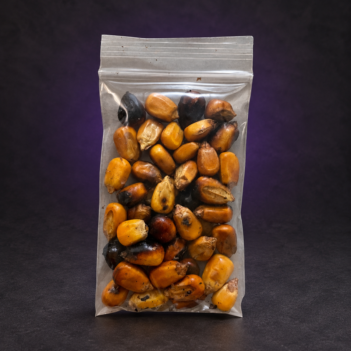 Toasted corn kernels in their clear resealable bag on a charcoal and subtle purple background.