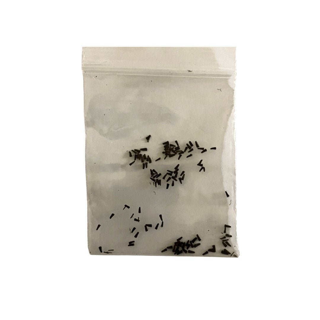 Espanta Muerto Seeds | False Daisy | Eclipta Prostata | Eclipta Alba | Bhringraj | Yerba de Tago