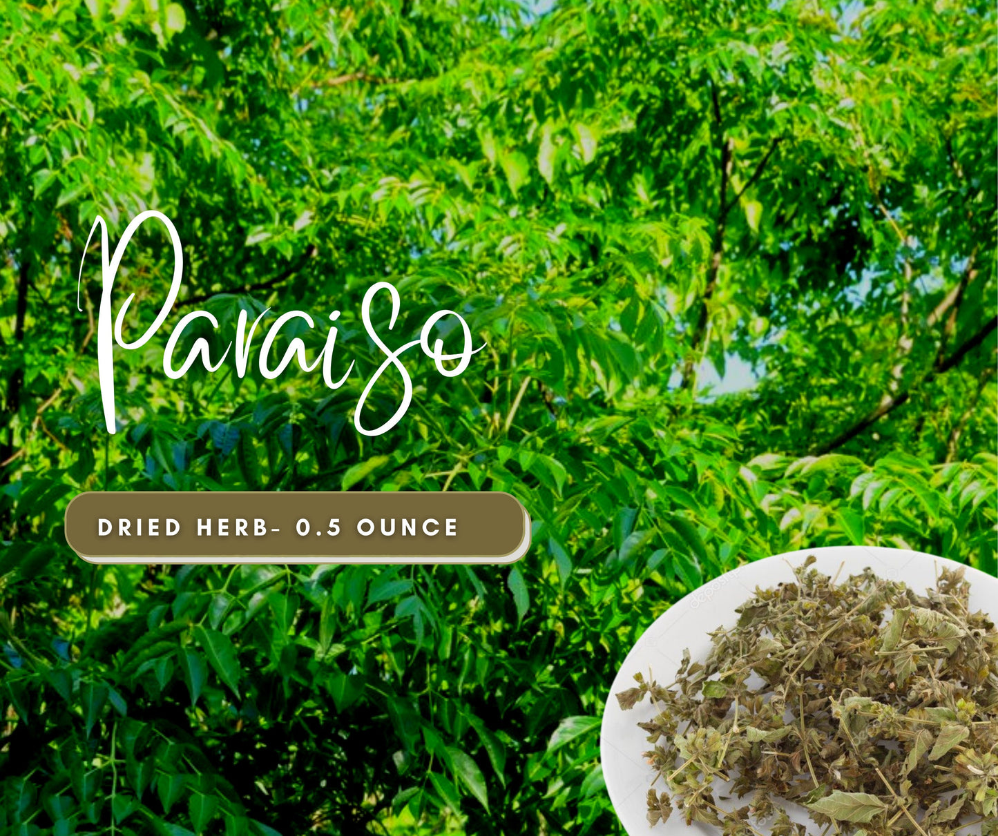 Paraiso LEGITIMATE Dried Herb - Love, Money, Break Obstacles & Prosperity Spells - Use in Candles or Spiritual Bath - Natural Cleansing Herb