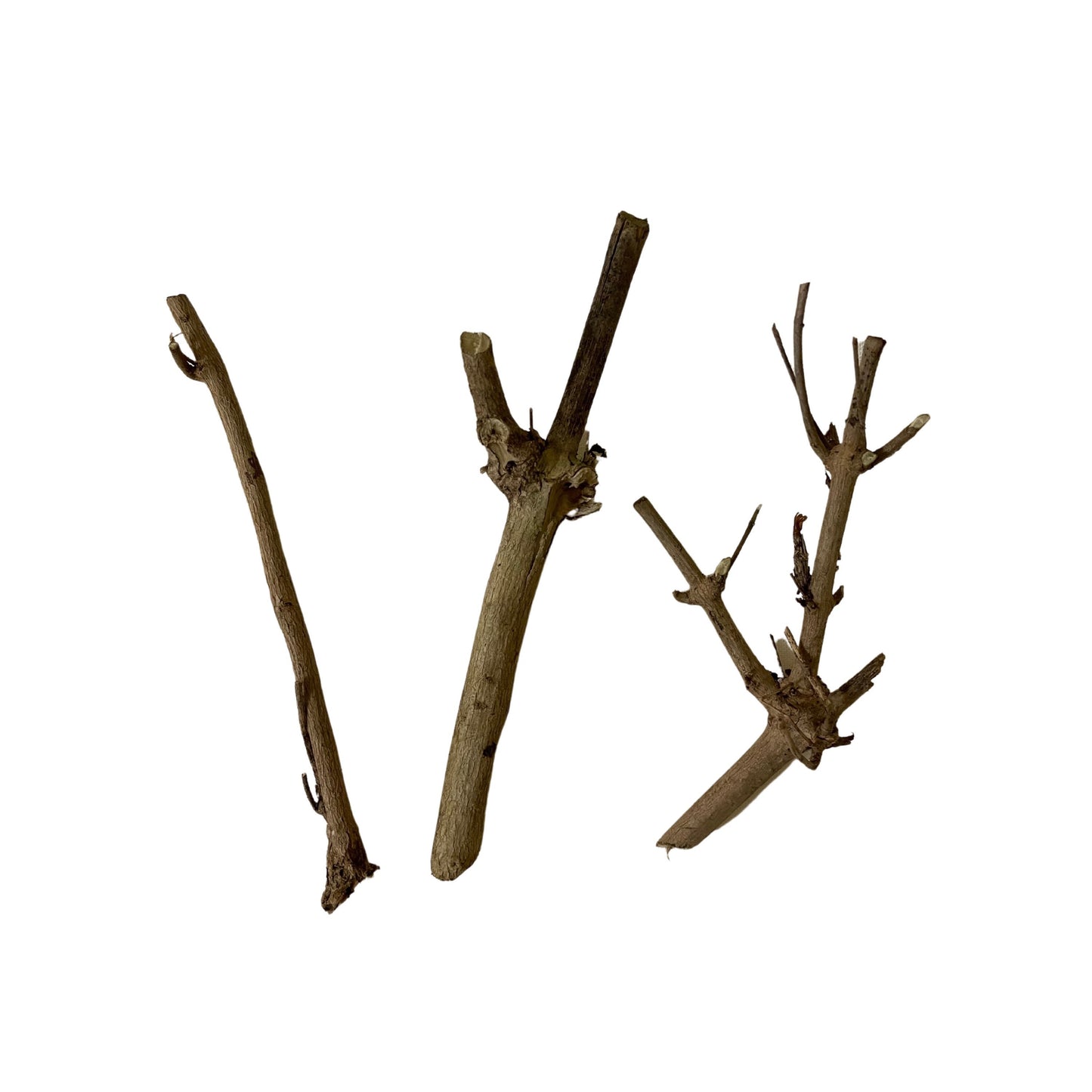 Abre Camino (Road Opener) Stick for Prosperity and Spiritual Cleansing use in Money Spells traditional Voodoo - Hoodoo - Santeria - 0.2 Oz