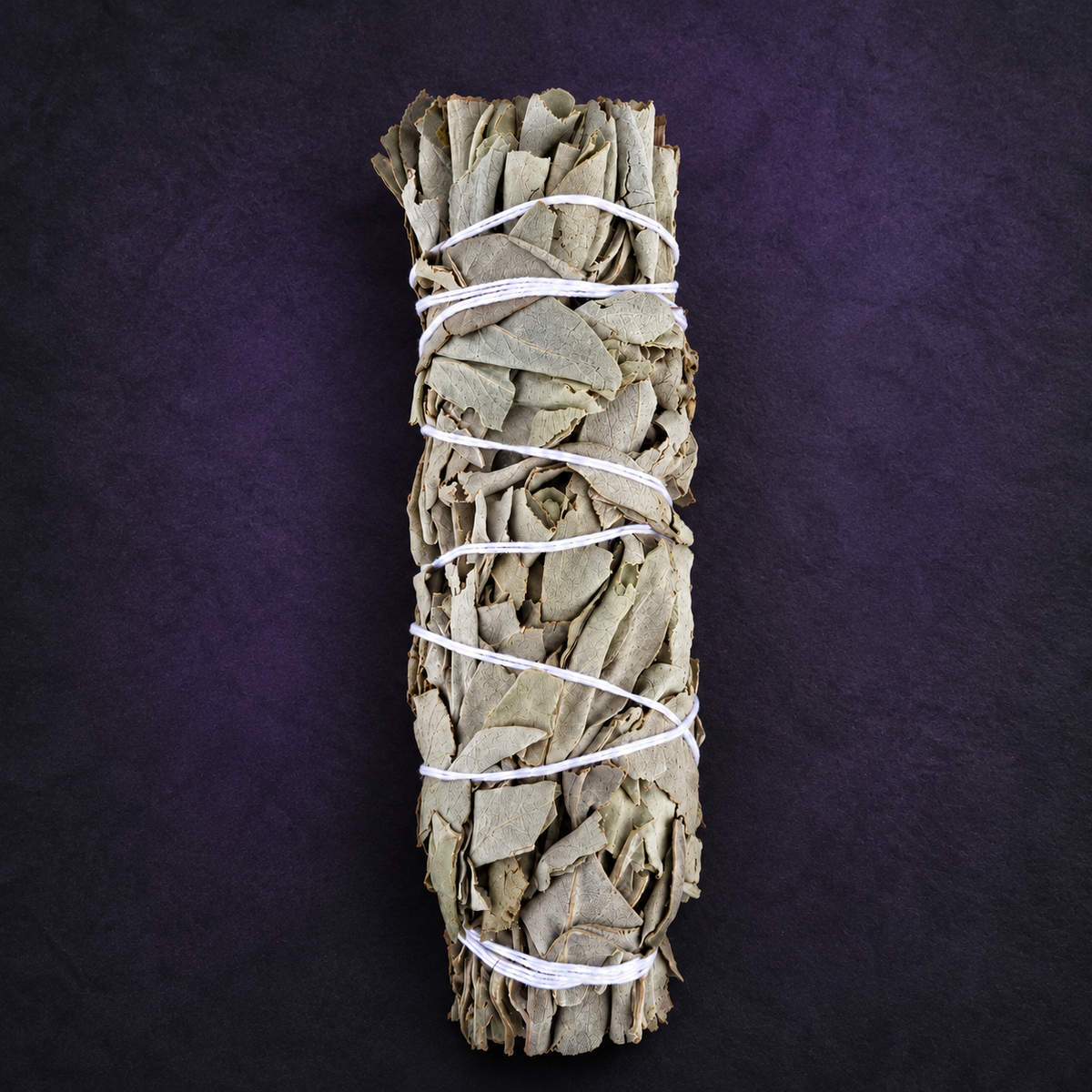 White sage bundle wrapped in white cotton twine on a charcoal background with subtle purple.