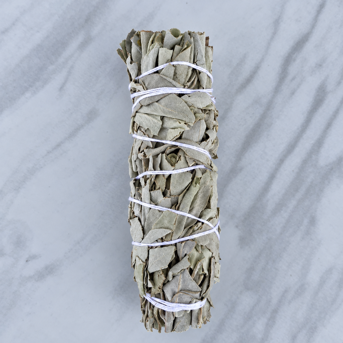 Gray-green sage bundle tied with white thread on a pale stone background.