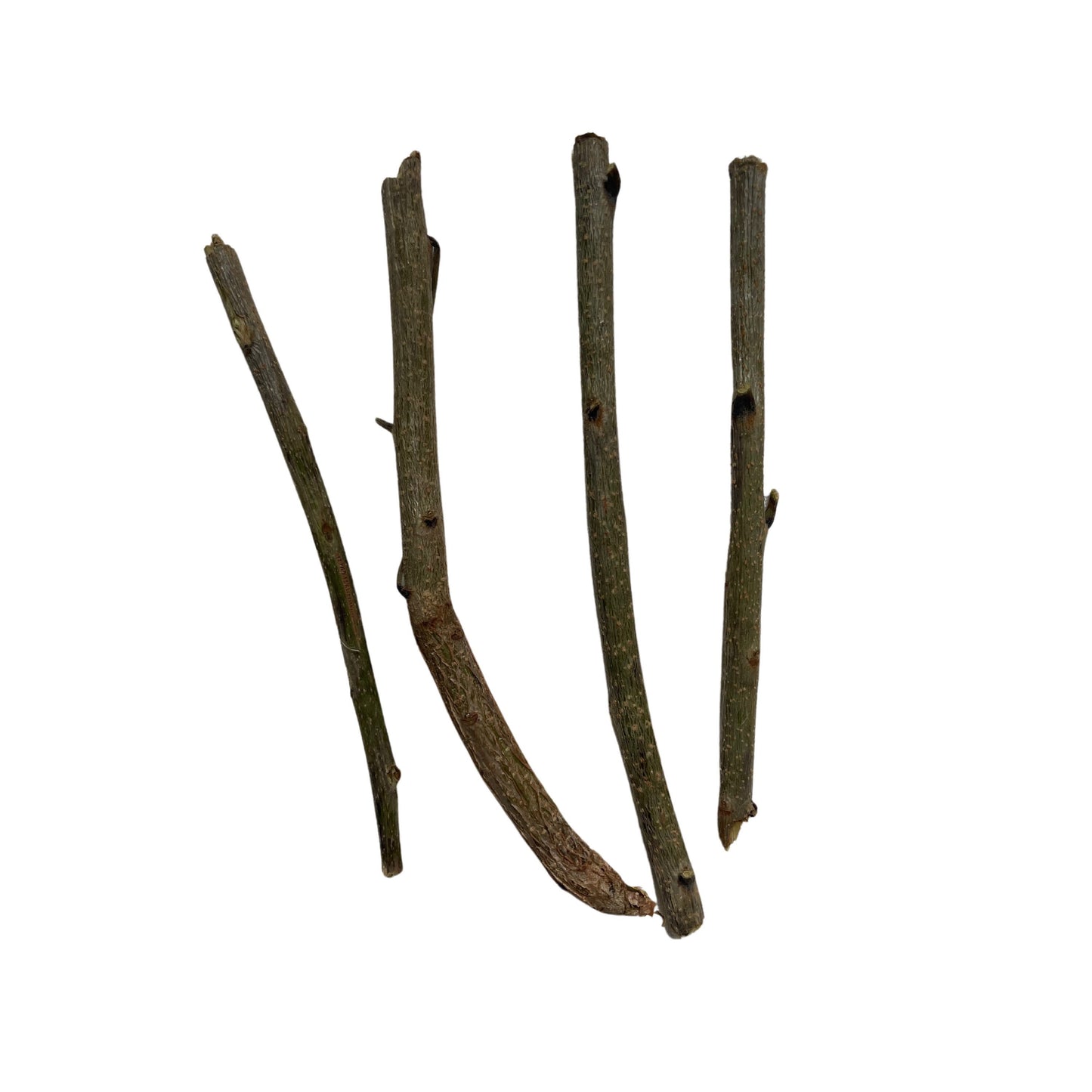Almacigo (Mastic Tree) Sticks - Powerful Herb used for Cleansings - Contains 0.2 Ounces