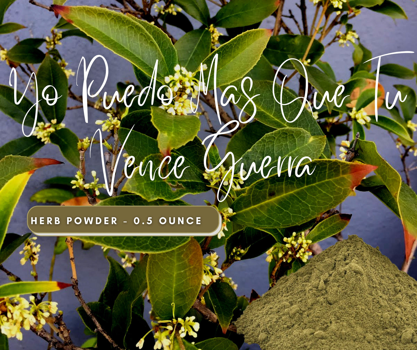 Vence Guerra LEGITIMATE Herb Powder Remove Obstacles, Win Court Cases, Prosperity - Use in Candles or Floor Sweeps - Natural Cleansing Herb