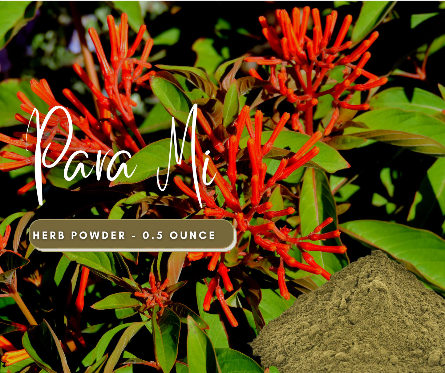Para Mi / For Me LEGITIMATE Herb Powder Love, Domination, & Attraction Spell - Use in Candles or Floor Sweeps - Natural Cleansing Herb