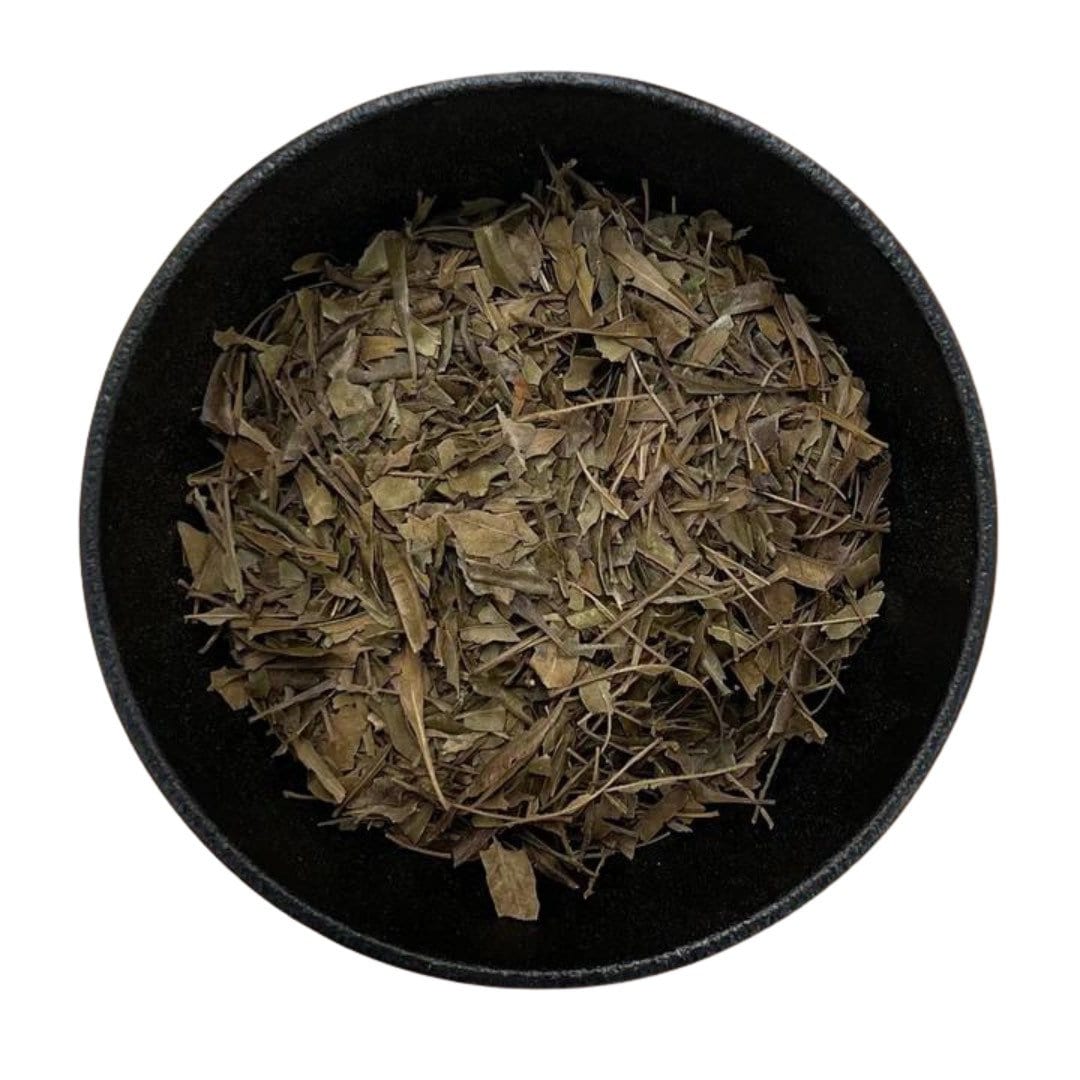 Bayberry Leaf | Myrica Cerifera | 0.25 or 0.5 Ounces | Used to Attract Wealth & Prosperity | Use in Spell Bottles, Mojo Bag | Witch Herbs