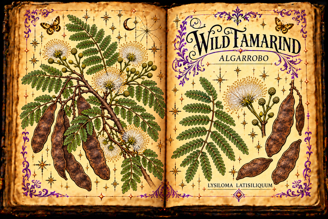 Open aged-parchment Book of Shadows with hand-drawn wild tamarind botanical studies, English and Spanish titles, purple flourishes, and gold butterflies.