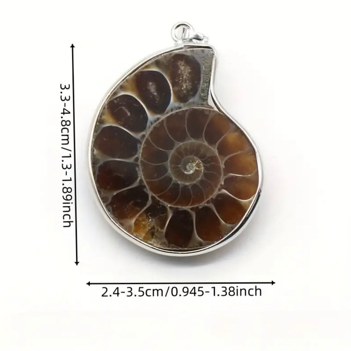 Ammonite Pendant | Fossil | Root Chakra | Grounding | Strength | Primal Energy