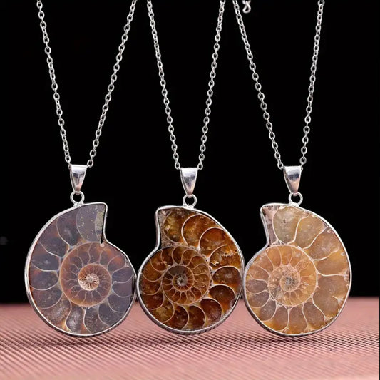 Ammonite Pendant | Fossil | Root Chakra | Grounding | Strength | Primal Energy