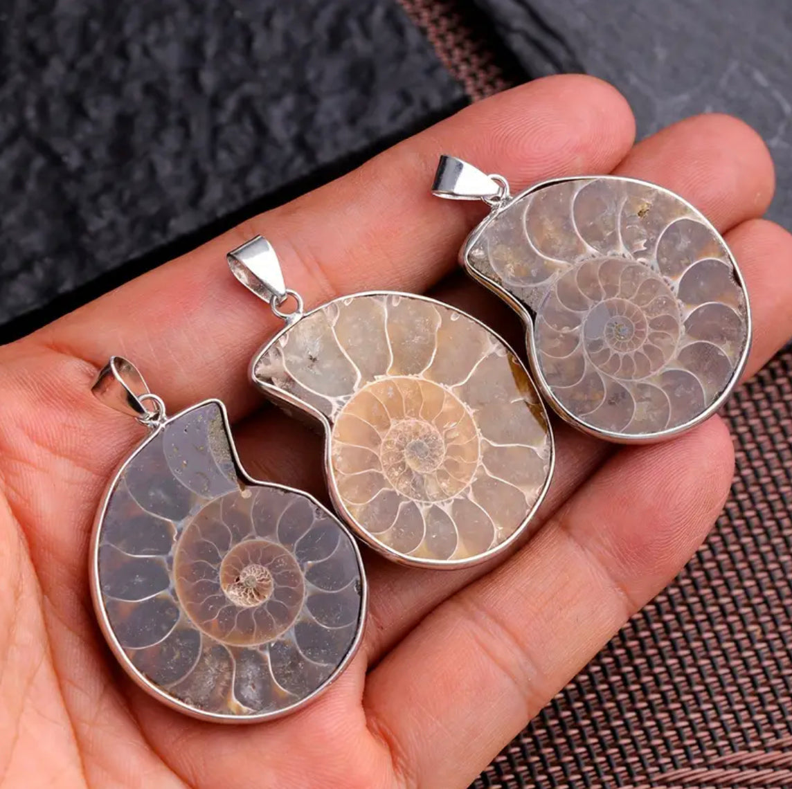 Ammonite Pendant | Fossil | Root Chakra | Grounding | Strength | Primal Energy