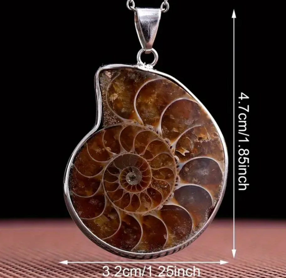 Ammonite Pendant | Fossil | Root Chakra | Grounding | Strength | Primal Energy