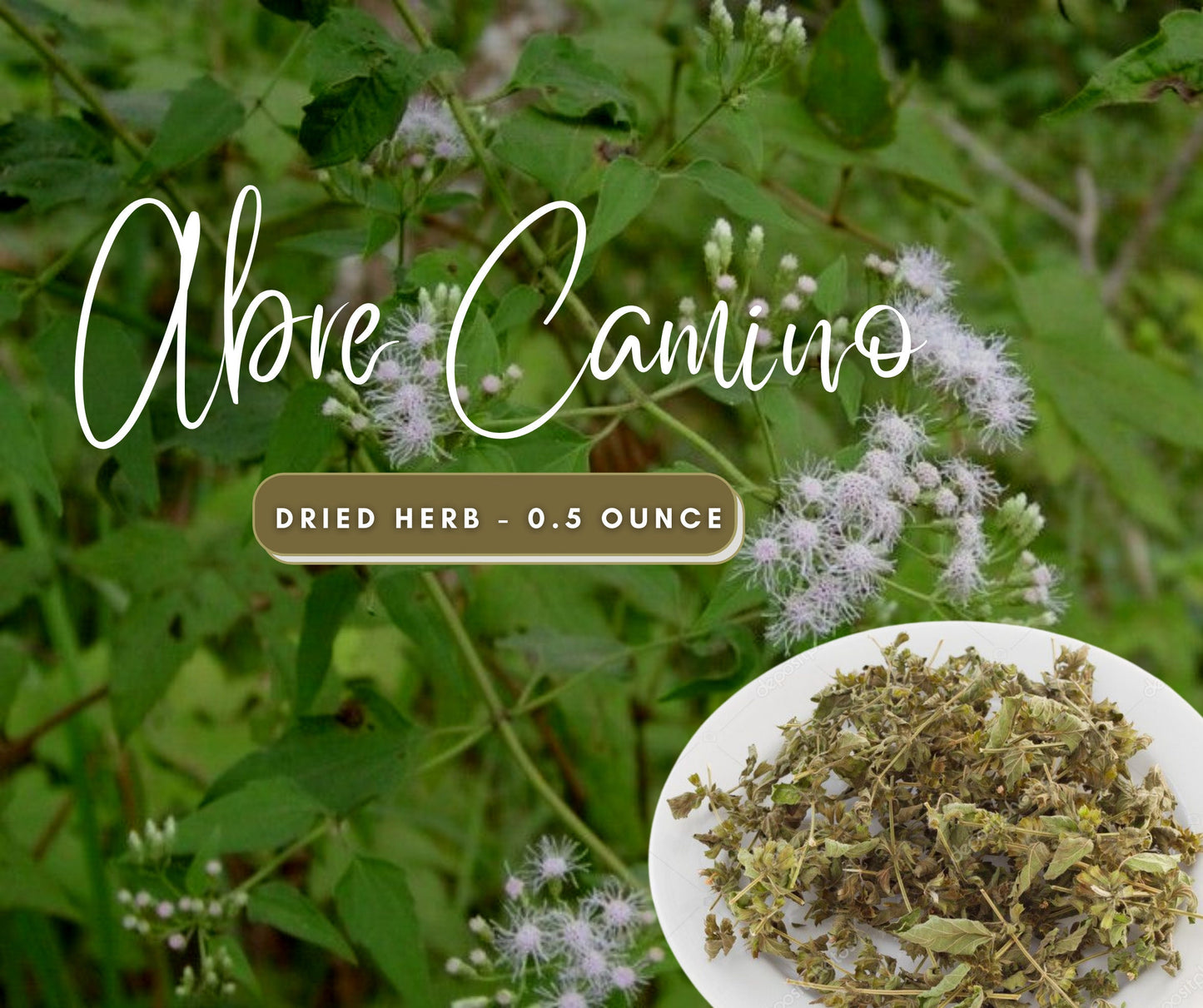 Abre Camino | Road Opener Dried Herb for Prosperity and Spiritual Cleansing use in Money Spells traditional Voodoo - Hoodoo - Santeria