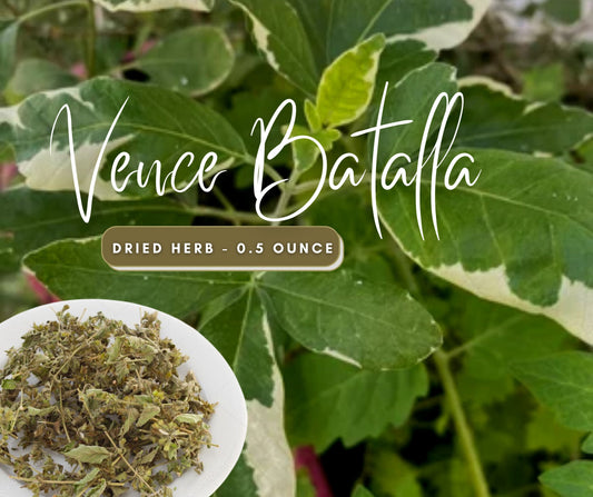 Vence Batalla Dried Herb | 0.5 Ounces | Traditional Herbs | Santeria