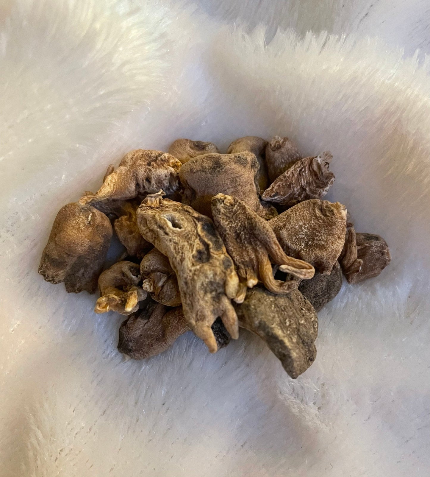 100% AUTHENTIC | Lucky Hand Root | Sahlep Root | Orchis Mascula | RARE | Good Luck, Prosperity & Wealth | Hoodoo Root | 1 Root ONLY