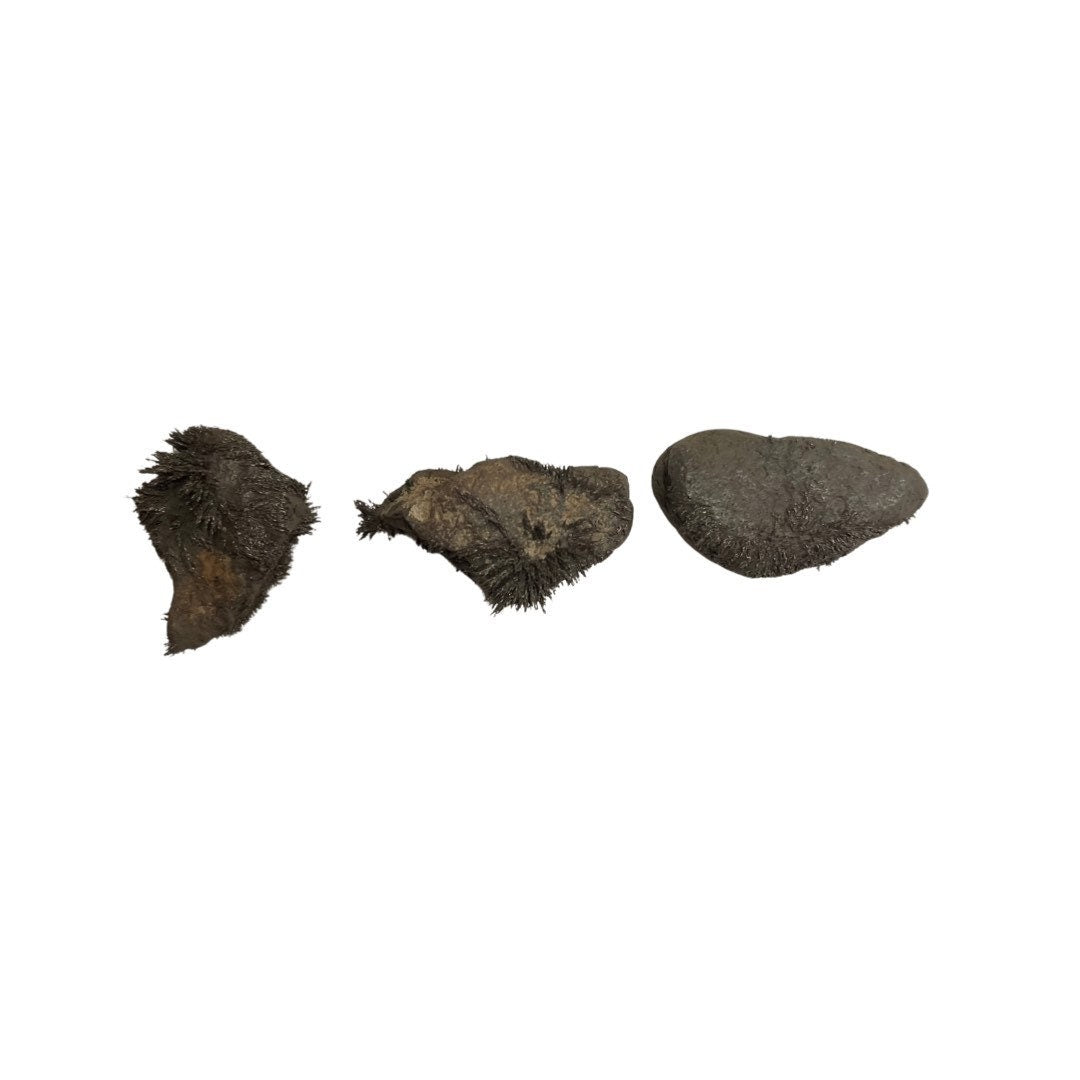 Natural Lodestone | Magnetite | Different Sizes | 1 Stone | Lodestone Food | Used in Spells for Attraction for Love,  Money & Prosperity |