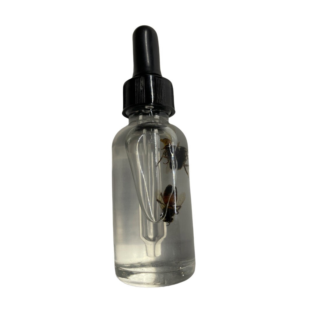 Bee Venom Oil | Contains 1 Ounce | Made with Natural & Authentic Ingredients | Use in Spellwork, Candles and Workings | Hoodoo | Witch