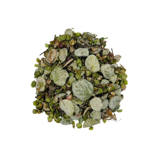 Dittany of Crete | Oreganum Dictamnus | Used for Divination, Summoning, Spirit & Ancestor Work  | Witch Herbs | 100% Authentic | 0.5 Ounces