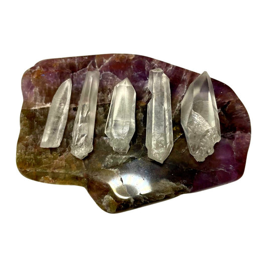 Lemurian Seed Quartz | Starseed Crystal | Premium Point | Rough | 1 Piece | Different Sizes | Spiritual Stones | Witch Tools & Supplies