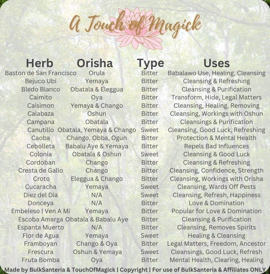 Pomarrosa | Dried Herb | 0.5 Ounces | Santeria | For Baths, Home & Spiritual Cleansing | Ewe | Lukumi | Voodoo | Hoodoo