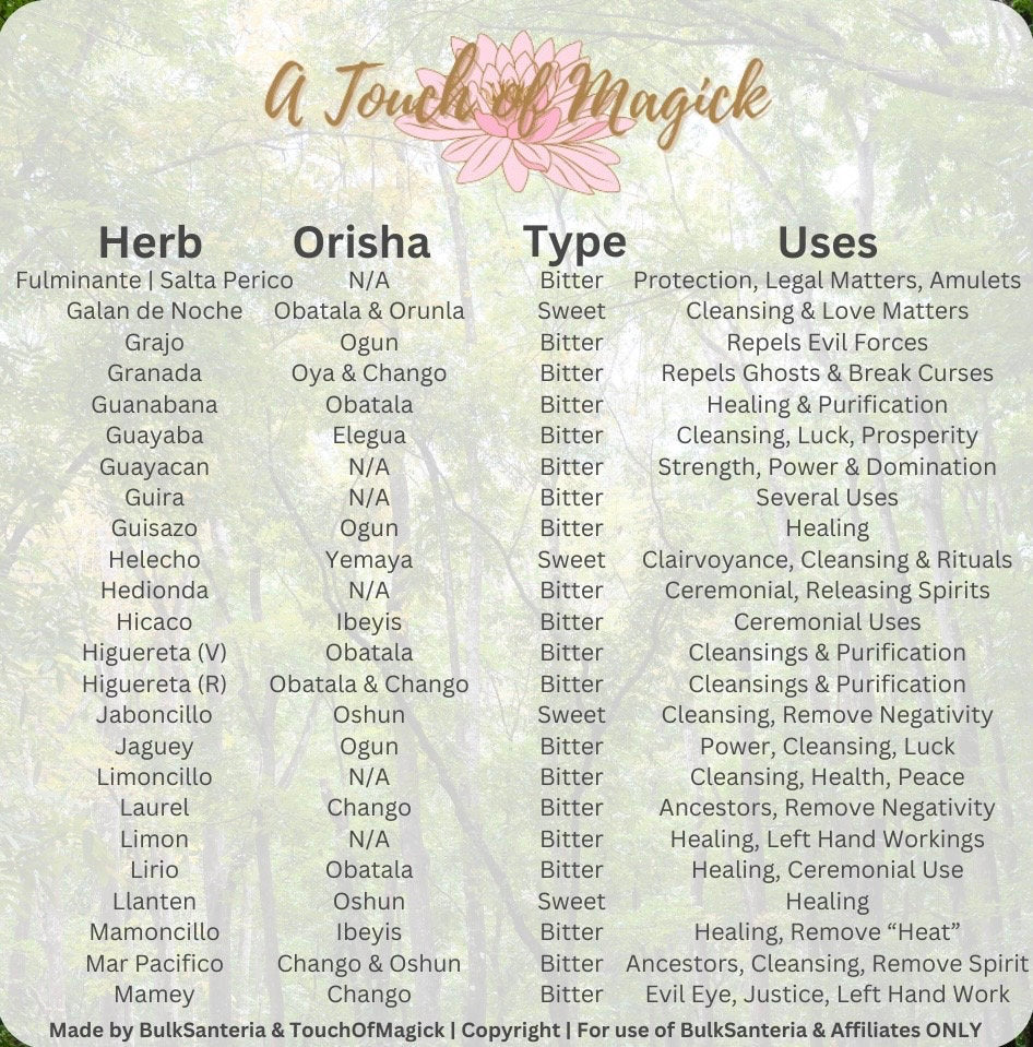 Pomarrosa | Dried Herb | 0.5 Ounces | Santeria | For Baths, Home & Spiritual Cleansing | Ewe | Lukumi | Voodoo | Hoodoo