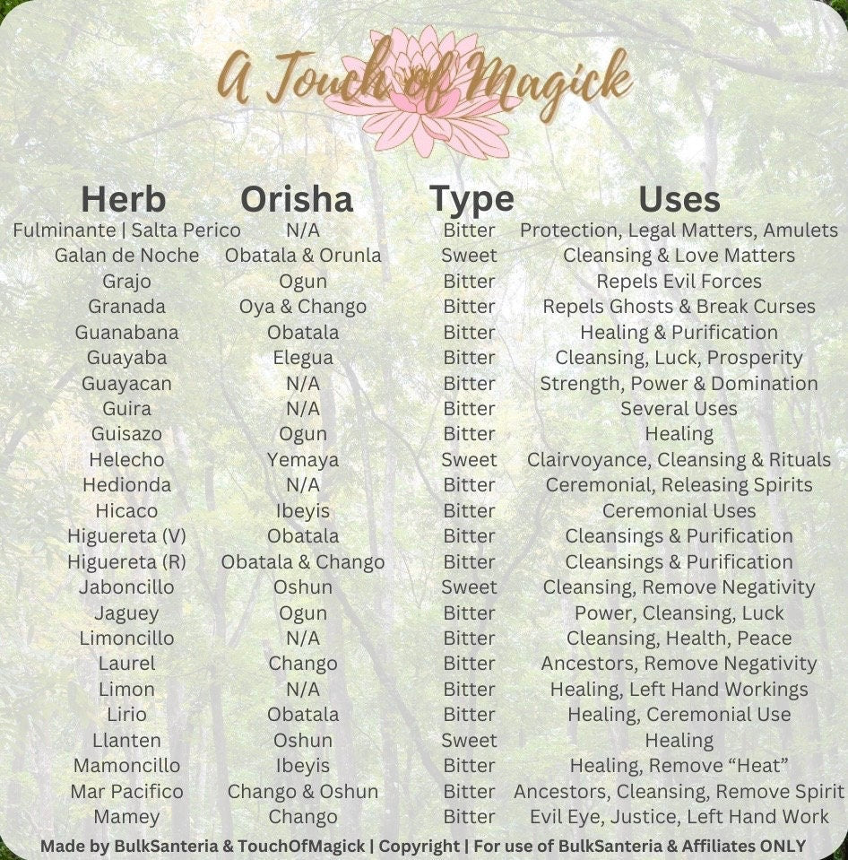 Pomarrosa | Dried Herb | 0.5 Ounces | Santeria | For Baths, Home & Spiritual Cleansing | Ewe | Lukumi | Voodoo | Hoodoo