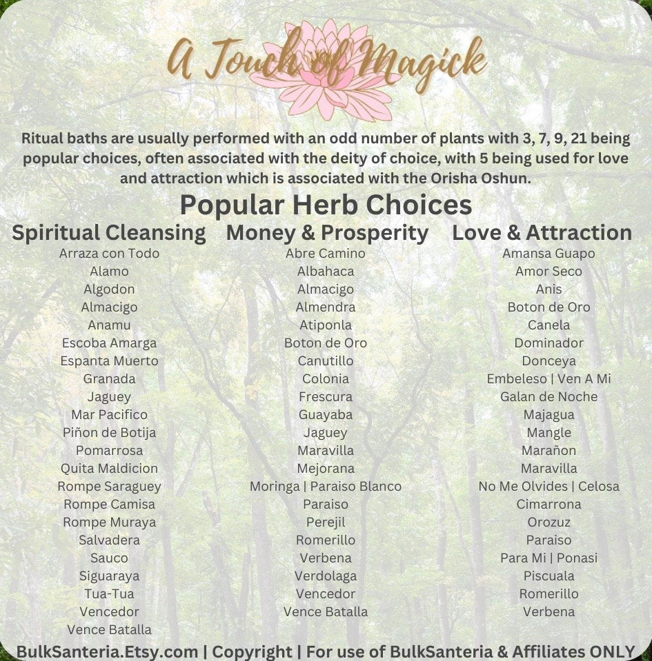 Pomarrosa | Dried Herb | 0.5 Ounces | Santeria | For Baths, Home & Spiritual Cleansing | Ewe | Lukumi | Voodoo | Hoodoo