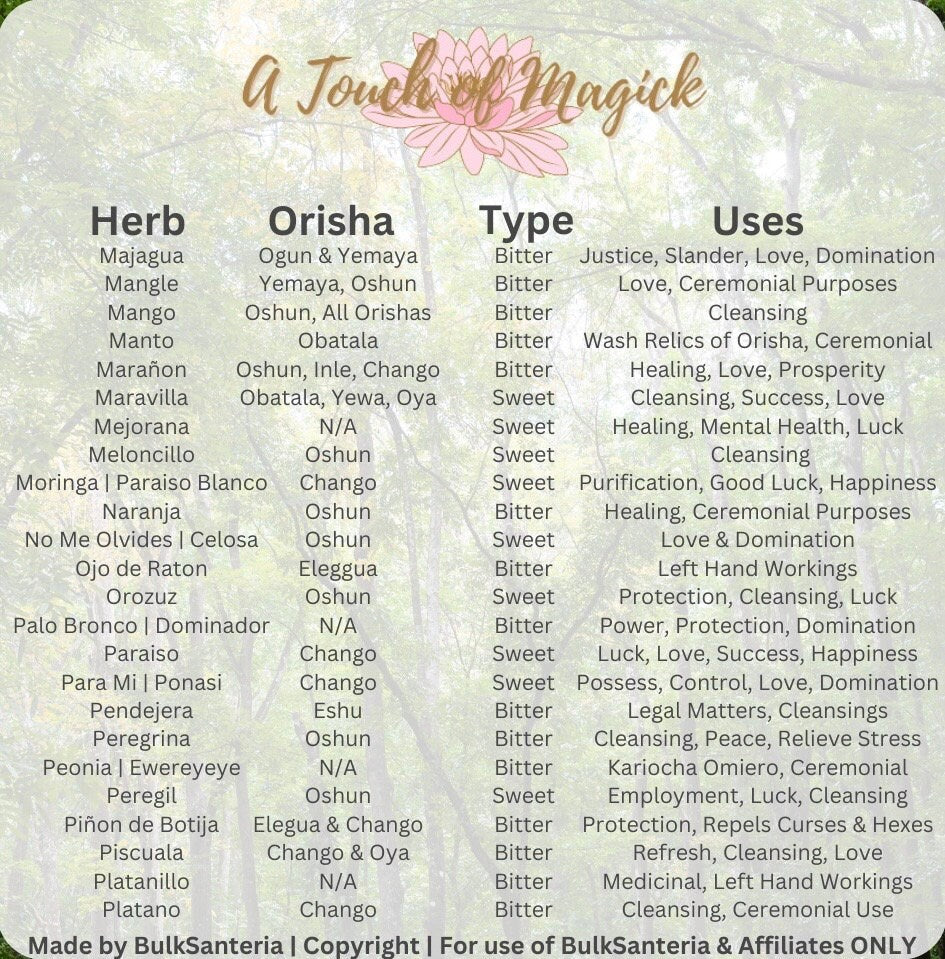Pomarrosa | Dried Herb | 0.5 Ounces | Santeria | For Baths, Home & Spiritual Cleansing | Ewe | Lukumi | Voodoo | Hoodoo