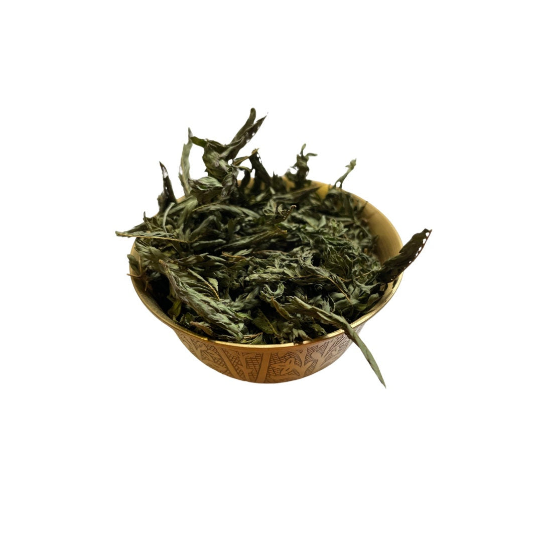 Dormidera | Vergonzosa | Sensitive | Dried Herb | 0.5 Ounces | Ewe | Santeria | Hoodoo | Voodoo