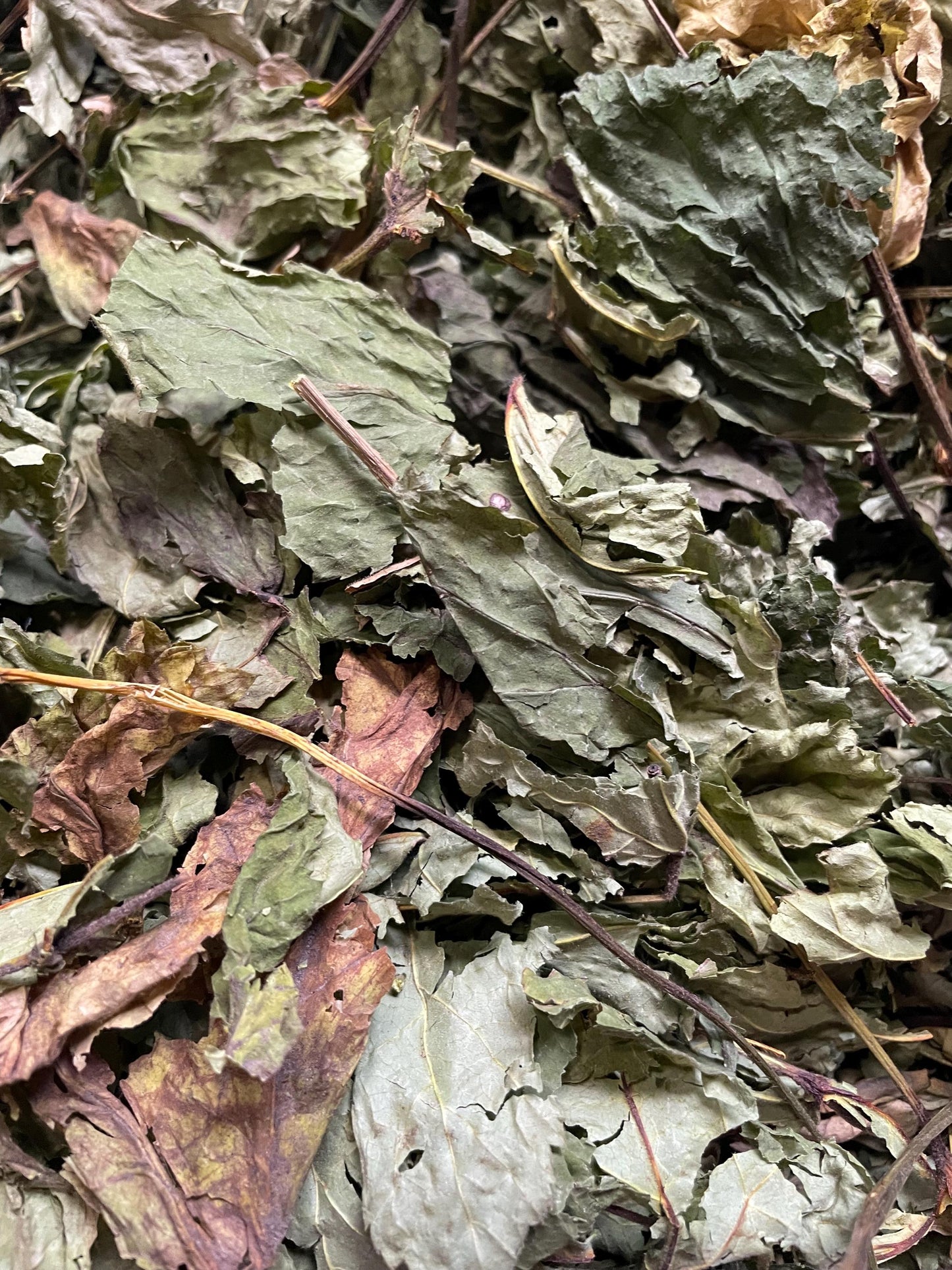 Goldenseal Herb | Hydrastis Canadensis | 0.5 Ounces | Witch Herbs | Hoodoo | Traditional Herb Supplier | Spell Supplies