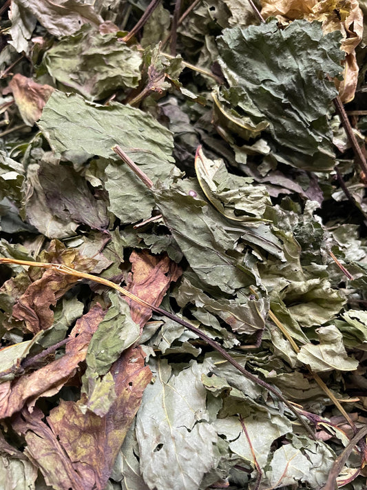 Goldenseal Herb | Hydrastis Canadensis | 0.5 Ounces | Witch Herbs | Hoodoo | Traditional Herb Supplier | Spell Supplies