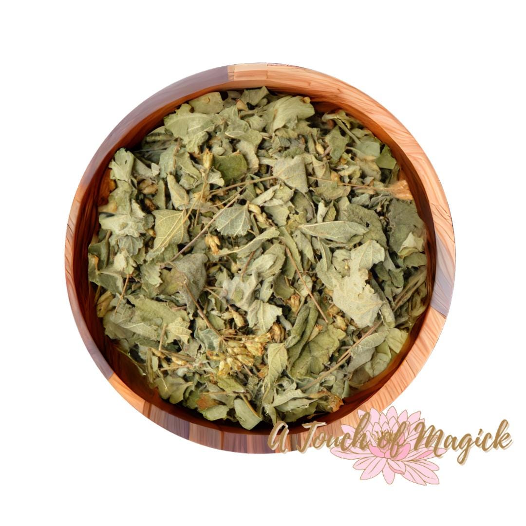 Mexican Dream Herb | Calea Zacatechichi | 0.5 Ounces | Traditional Herb Supplier & Manufacturer | 0.5 oz