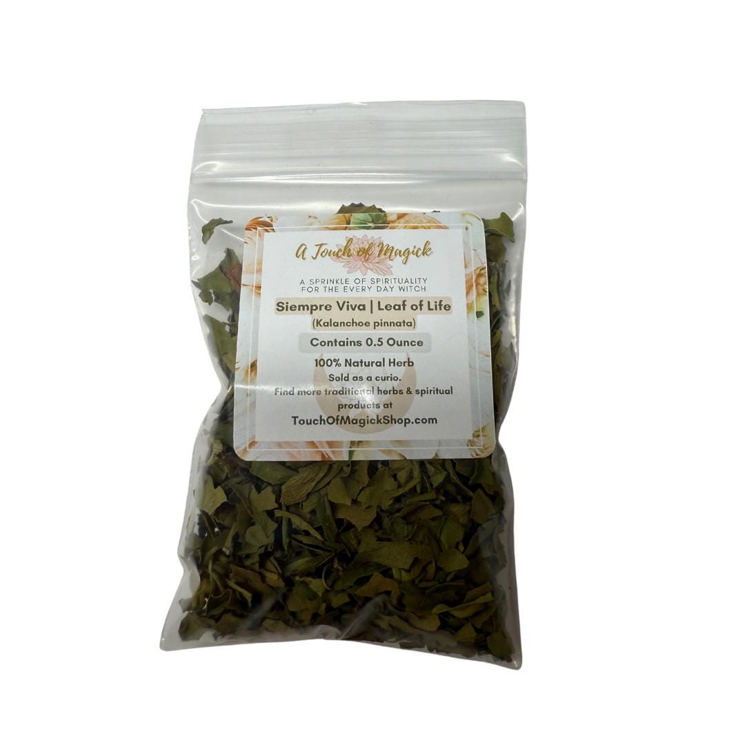 Prodigiosa / Siempre Viva (Leaf of Life) | Dried Herb Cut | 0.5 Ounces | Traditional Herb Supplier & Manufacturer