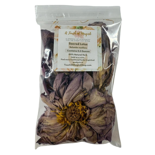 Sacred Lotus | Nelumbo nucifera | 0.5 Ounces | Spell Supplies | Traditional Herb Supplier & Manufacturer