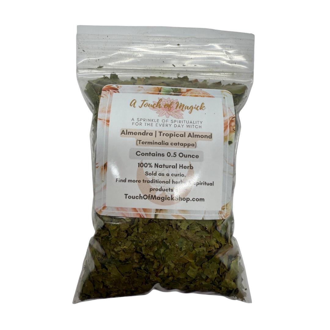 Almendra | Tropical Almond | Terminalia Catappa | Traditional Herb Manufacturer and Supplier | 0.5 Oz