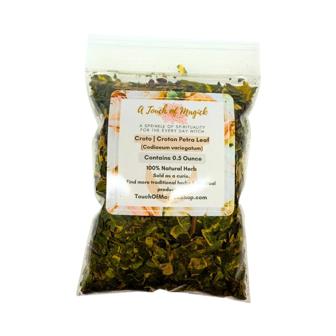 Croto | Croton Petra Leaf | Codiaeum variegatum | Dried | 0.5 Ounces | Traditional Herb | Chango