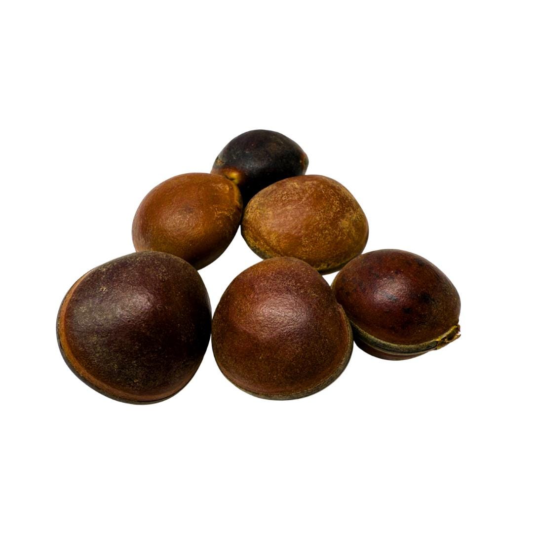 Ox Eye | Ojo de Buey | Select Quantity | Traditional Herb Supplier & Manufacturer | Santeria | Hoodoo | Voodoo | Spell and Ritual Supplies