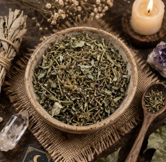 Haras Mi Voluntad | Do as I say | Ewe Emile | Dried Herb | 0.5 Ounces | Traditional Herb Supplier | Santeria | Hoodoo | Voodoo |