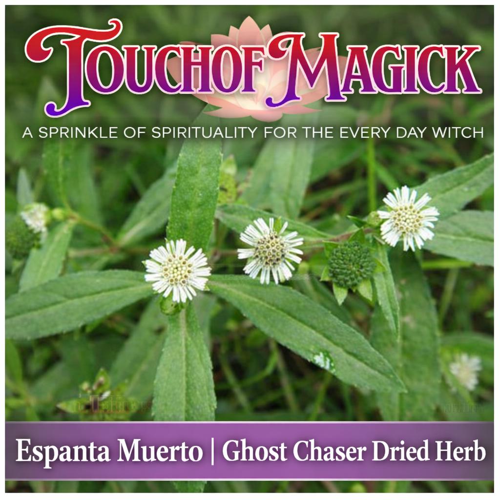 Espanta Muerto | Dried | Cut | 0.5 Ounces | Known as Ghost Chaser Plant | Traditional Herb Supplier | Santeria