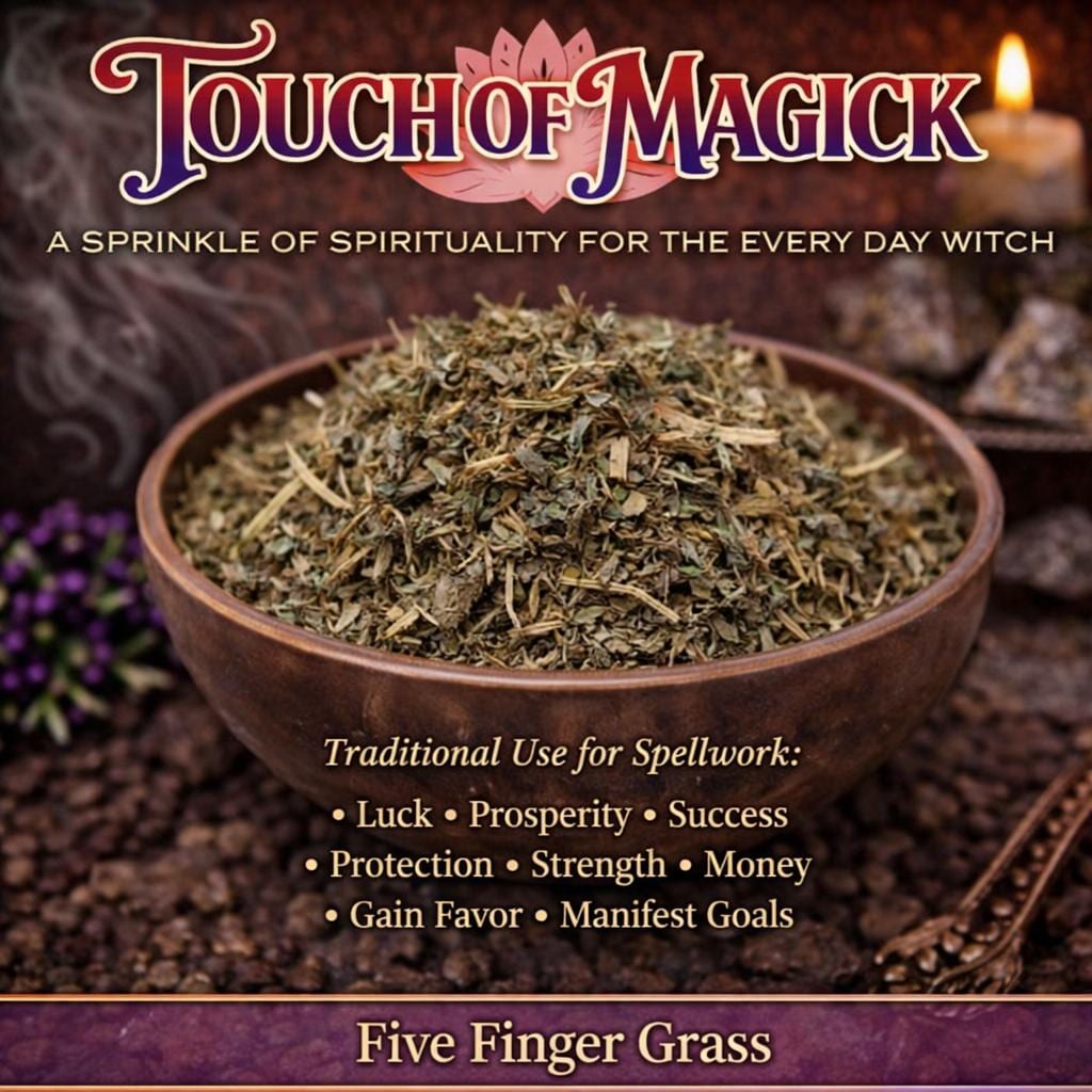 Five Finger Grass | Cinquefoil | Potentilla | Traditional Herb Supplier & Manufacturer | Spells | Wicca | Pagan Hoodoo | 0.5 Oz