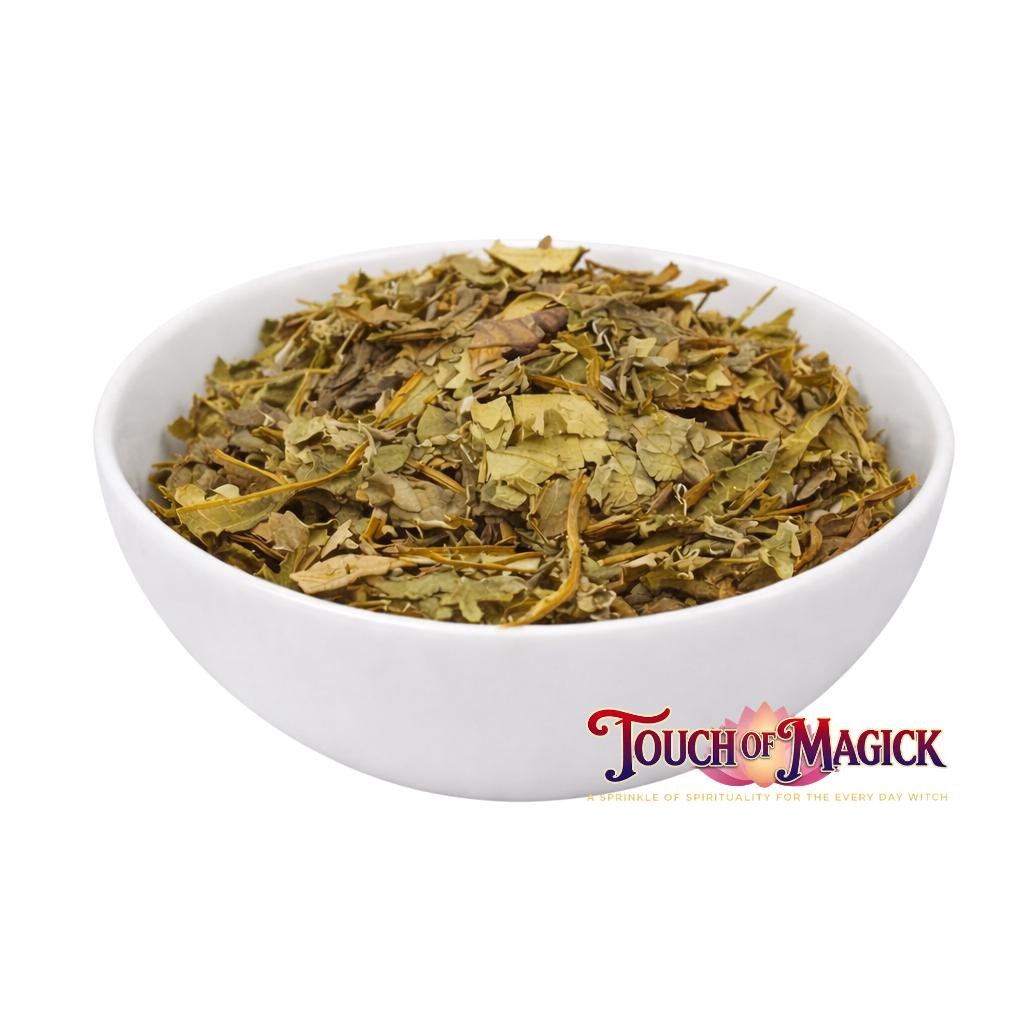 Yagruma Dried Herb | 0.5 Ounces | Traditional Herb | Santeria