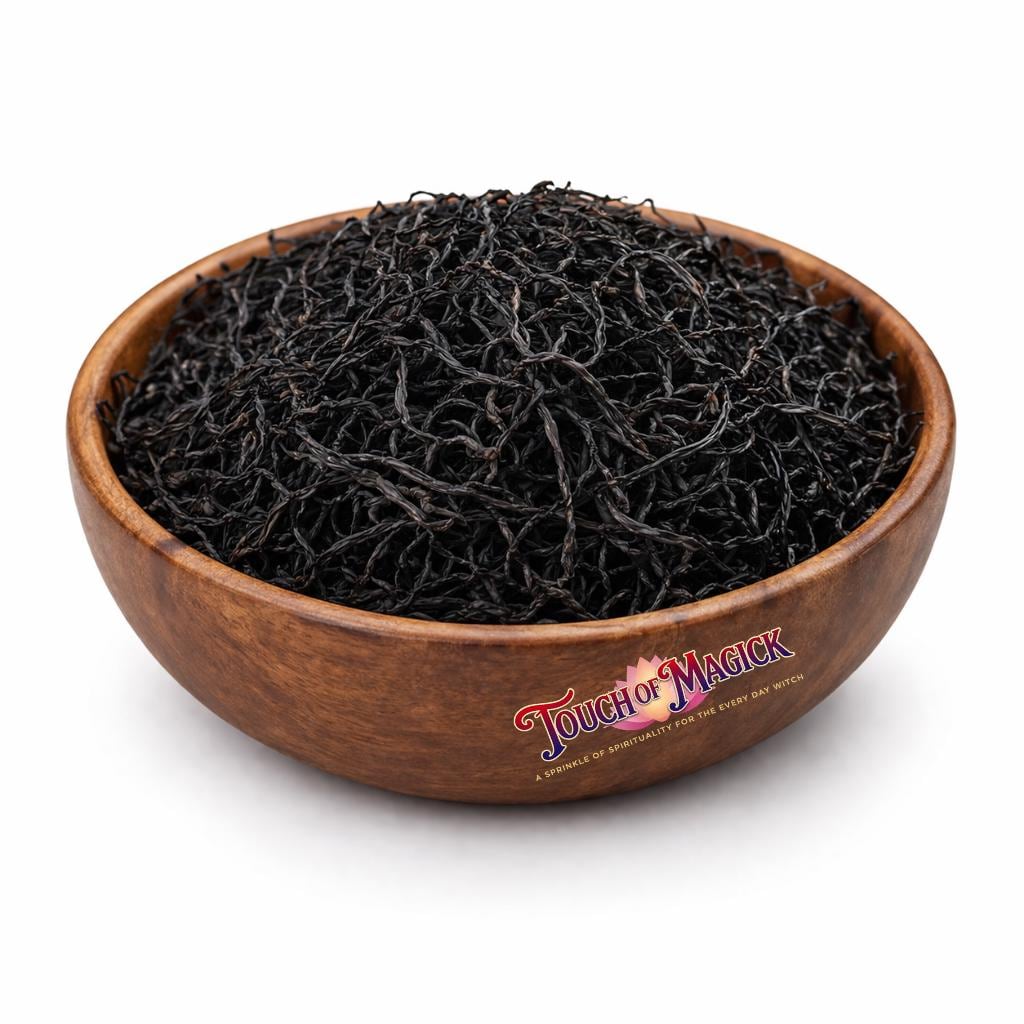 Seaweed | Sargazo | Dried | 0.5 Ounces | Traditional Herb Supplier & Manufacturer | Pagan |
