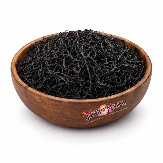 Seaweed | Sargazo | Dried | 0.5 Ounces | Traditional Herb Supplier & Manufacturer | Pagan |