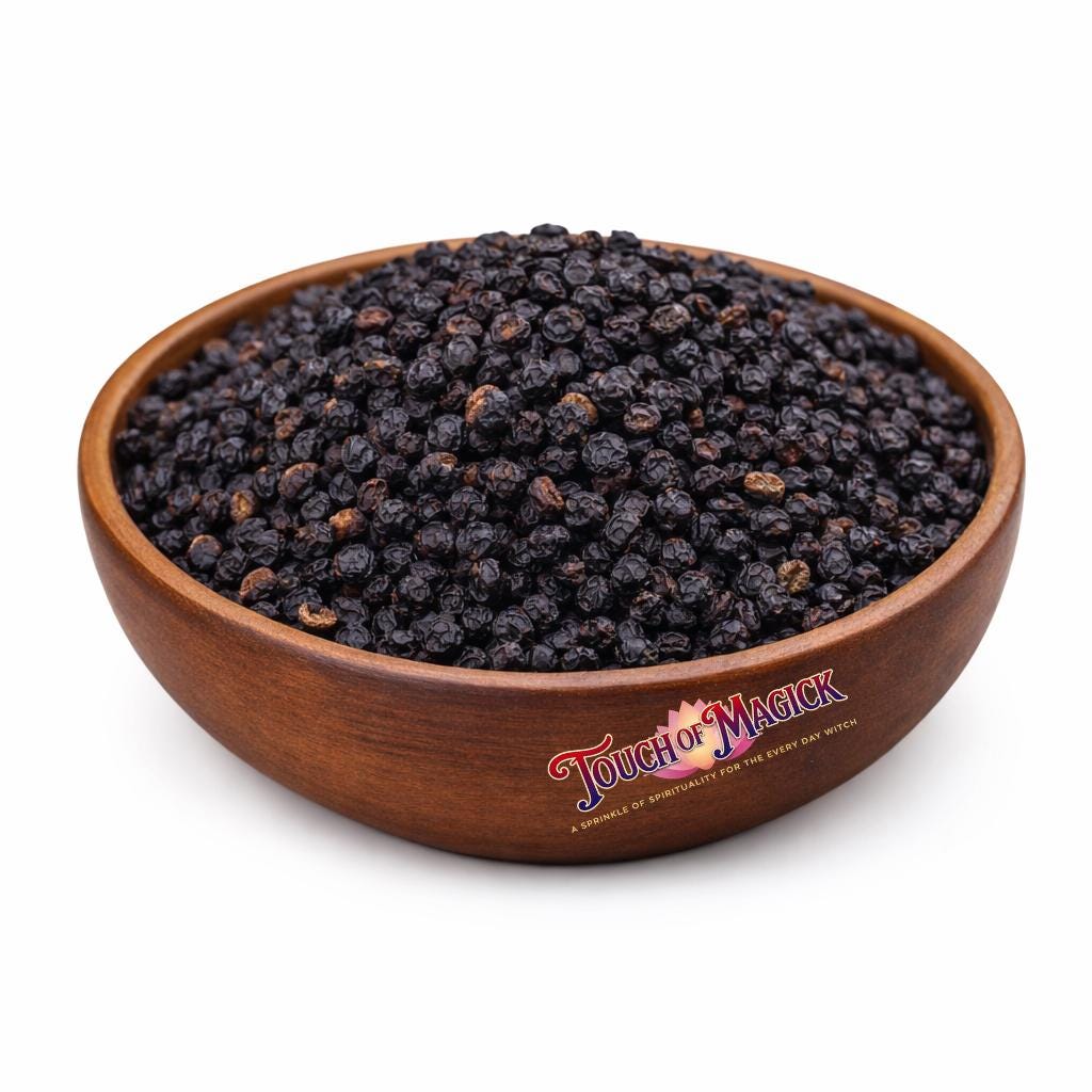 Elder Berries | Bayas de Sauco | Dried | 0.5 Ounces | Traditional Herb Supplier & Manufacturer | Pagan |