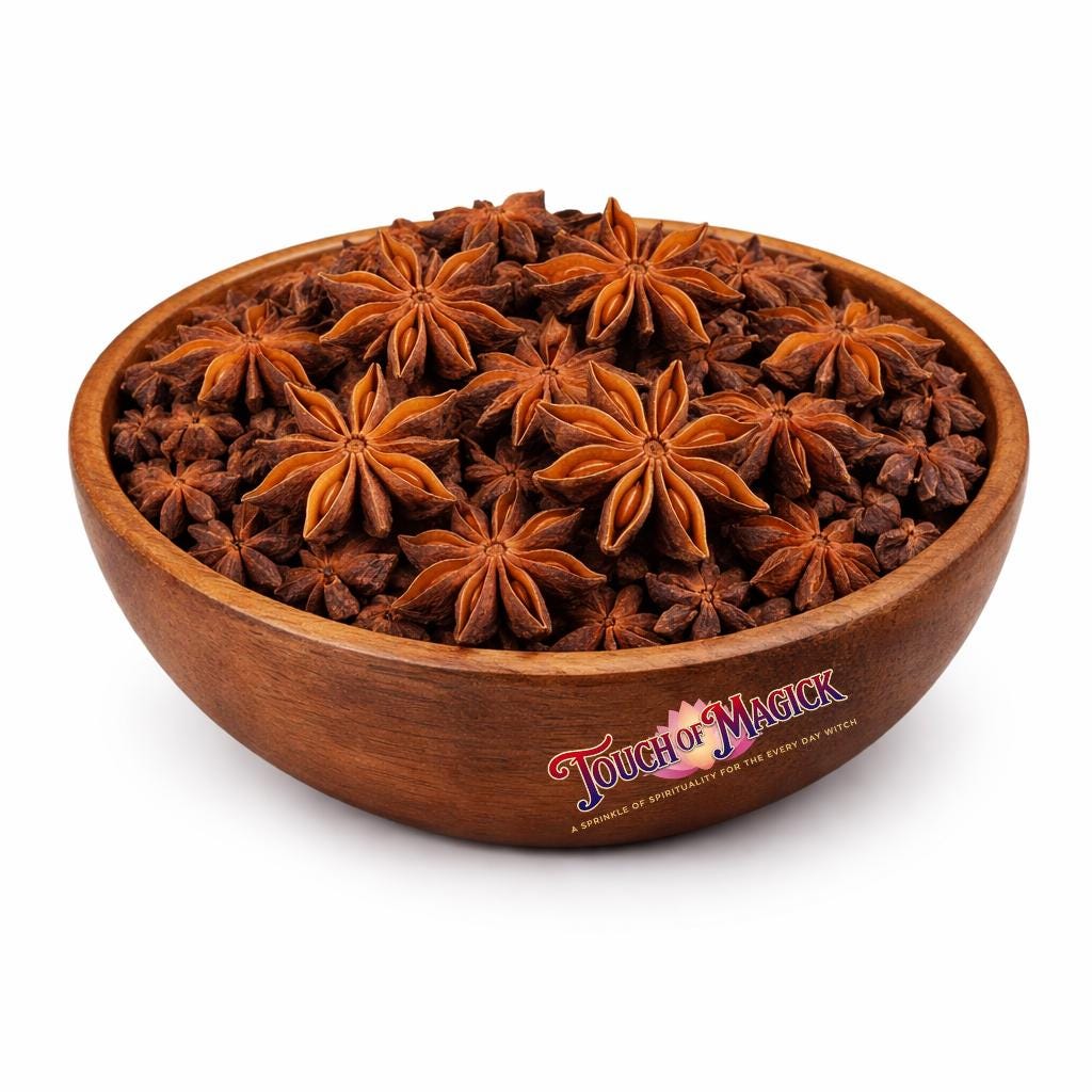 Star Anise | Dried | 0.5 Ounces | Traditional Herb Supplier & Manufacturer | Pagan |