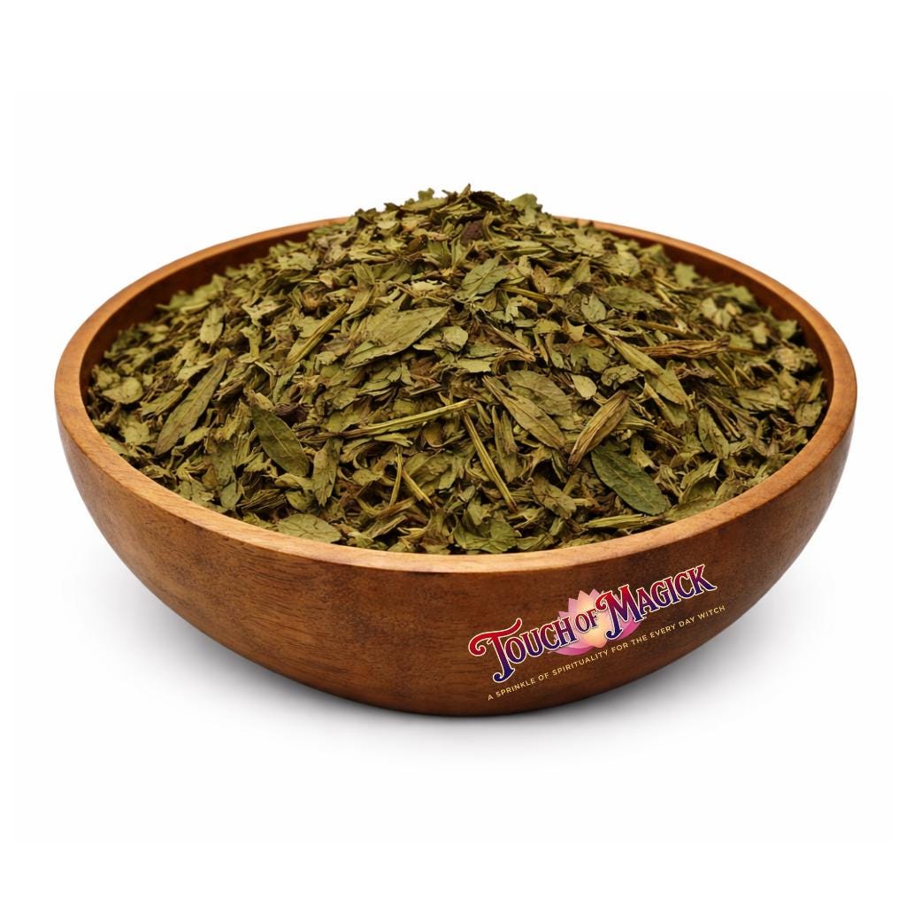 Amansa Guapo Dried Herb | Traditional Herb Manufacturer and Supplier | Contains 0.5 Ounces | Santeria