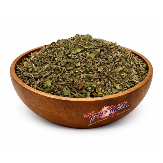 Añil | Indigo Leaves | Indigofera tinctoria | Traditional Herb Manufacturer and Supplier | 0.5 Oz