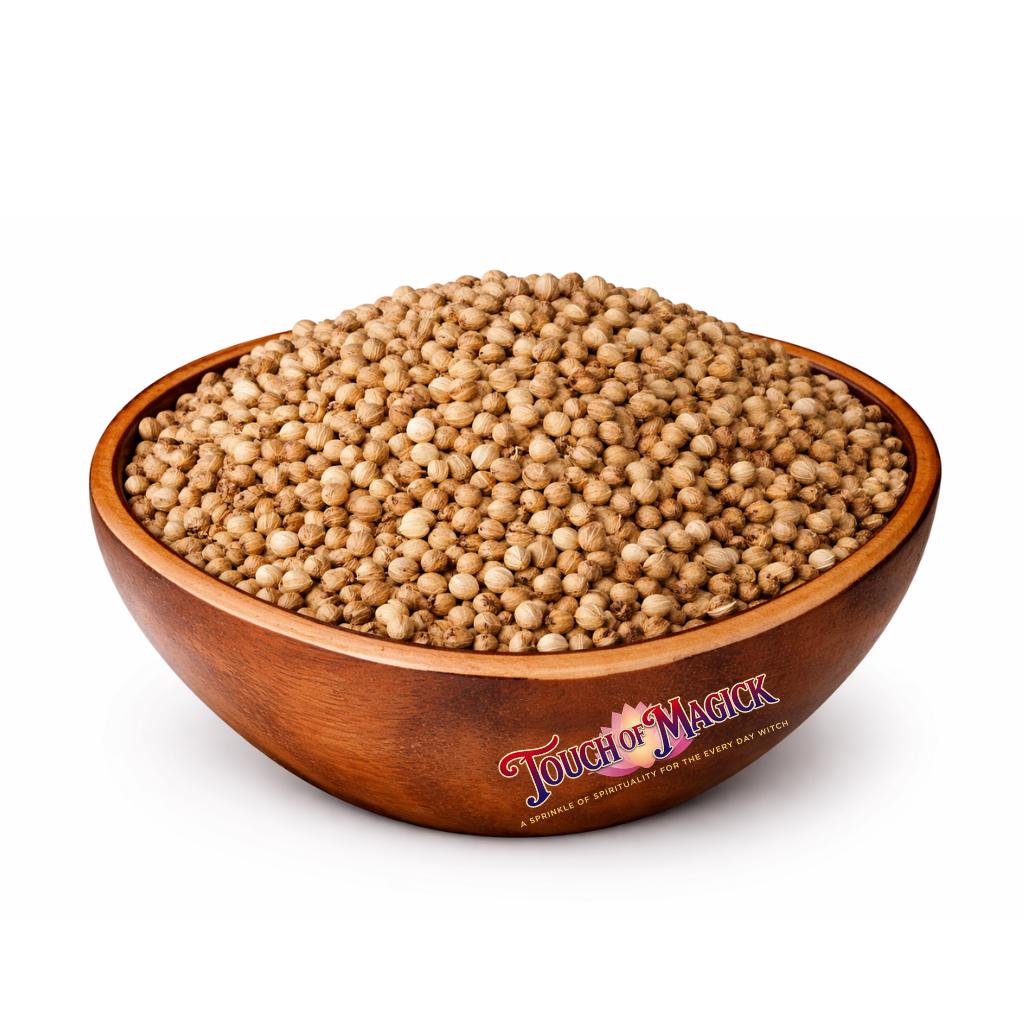 Coriander Seeds | Coriandrum sativum | Traditional Herb Manufacturer and Supplier | 0.5 Ounces | Witch Tools and Sipplies